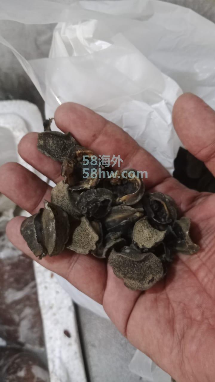 印尼特产