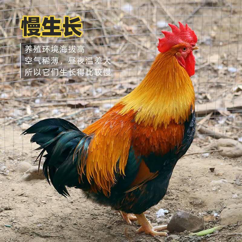阿豪农家菜餐厅  管理型技术性合作 有意请面谈